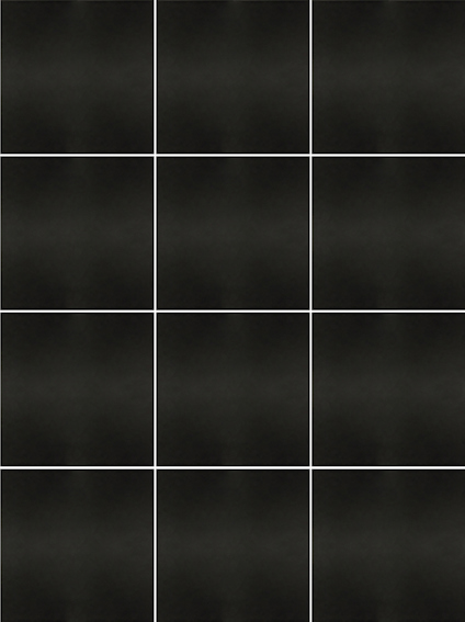 7631163.jpg