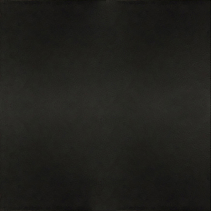 7631845.jpg
