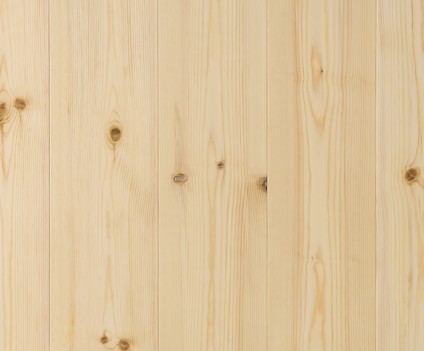 7901403.jpg