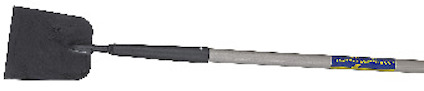 7910855.jpg
