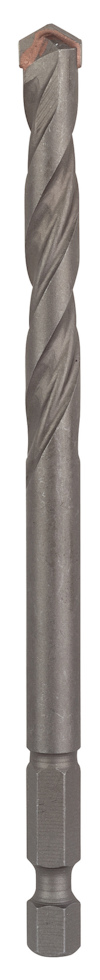 7921513.jpg