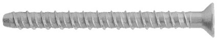 7934195.jpg