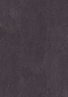 7954366.jpg
