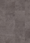 7960996.jpg