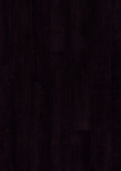 7965075.jpg