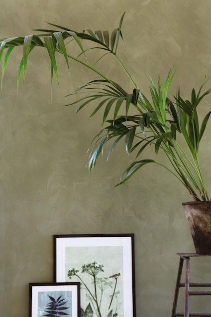 Gröna växter mot en grön vägg, med inramade botaniska tryck nedanför.