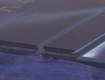 7965950.jpg