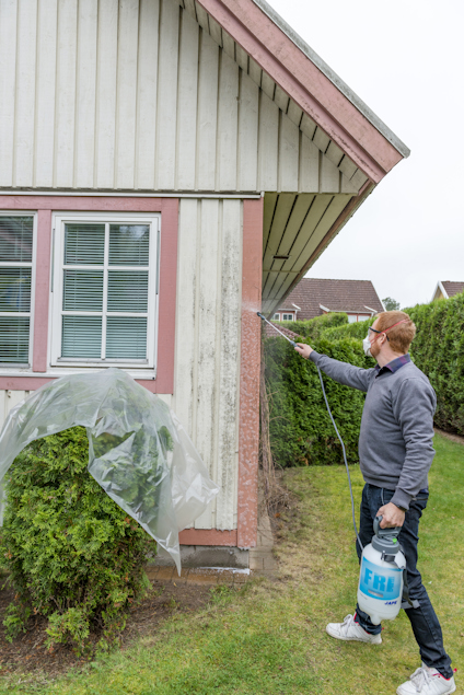 Man i trädgård sprayar medel på smutsig husfasad av trä, plast täcker fönster och buske.