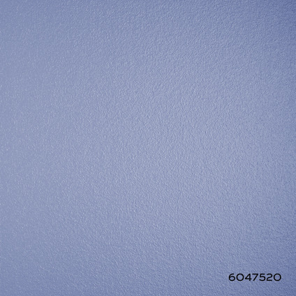 7996980.jpg