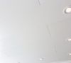 8001810.jpg