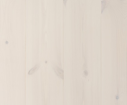 8005922.jpg