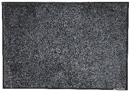 8016328.jpg