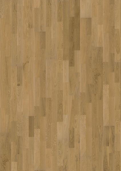 8023342.jpg