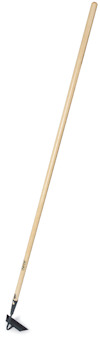 8023541.jpg
