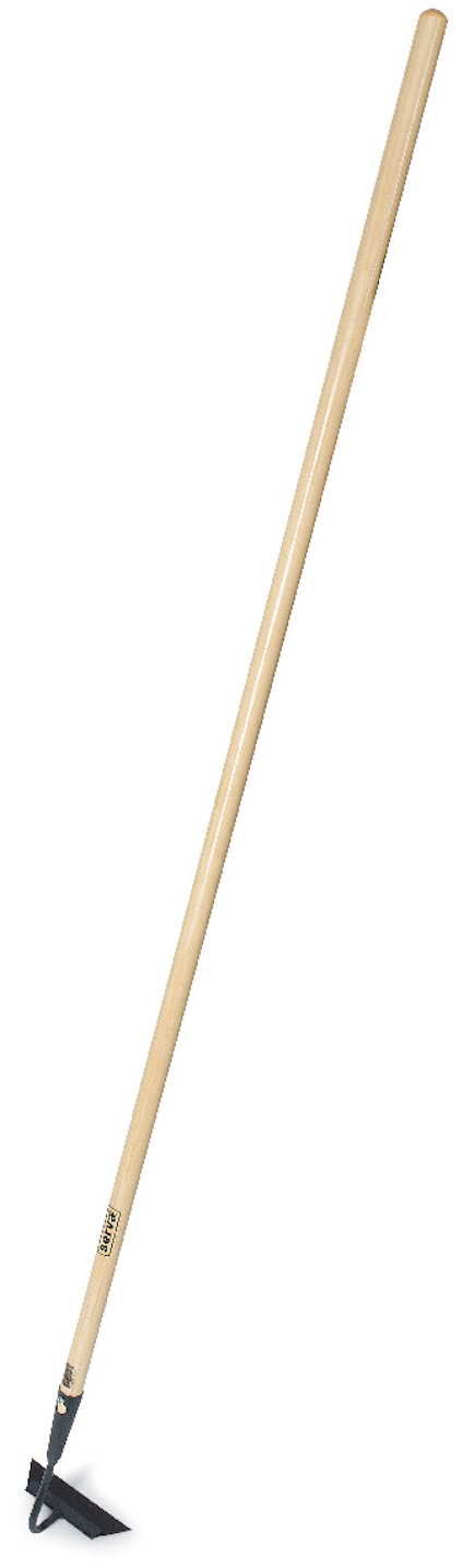 8023541.jpg