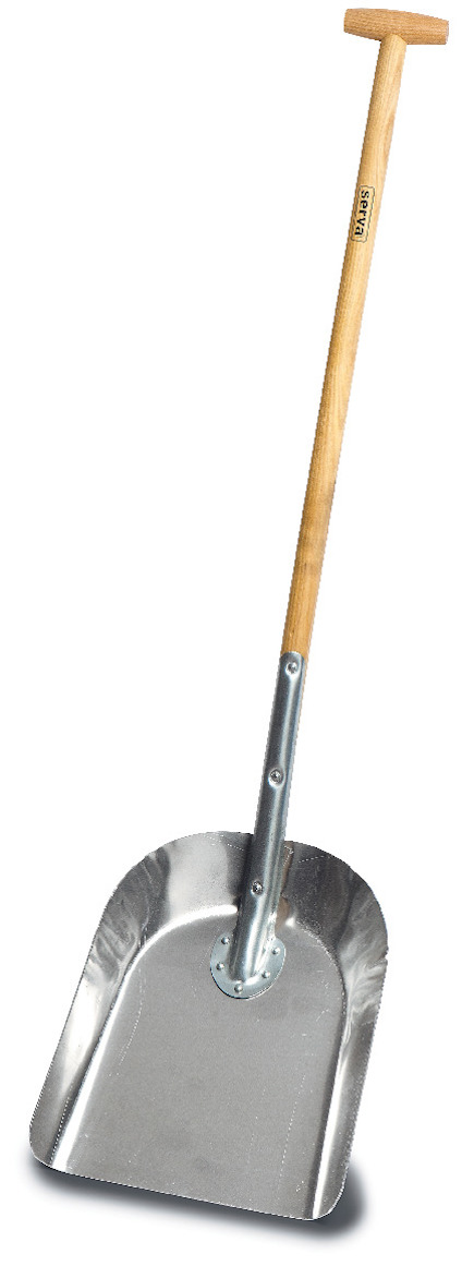8023553.jpg