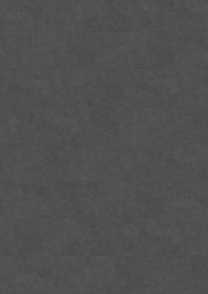8023617.jpg