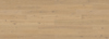 8032740.jpg