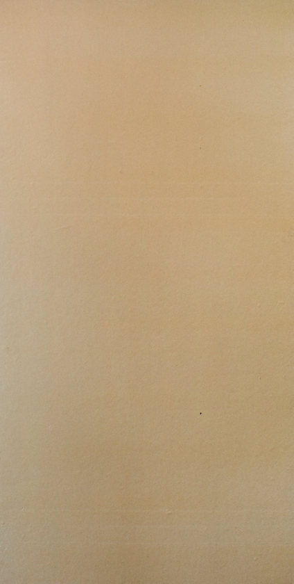 8045393.jpg
