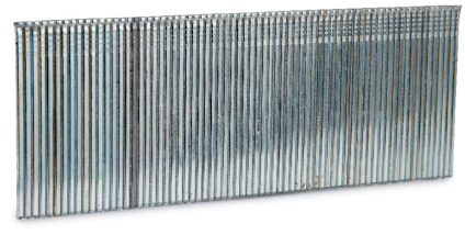 8045542.jpg