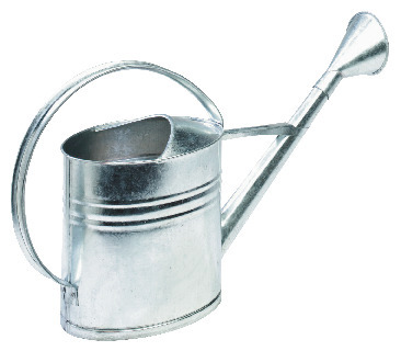 VATTENKANNA I ZINK MED SKRUVSTRIL - Nyby