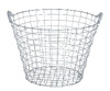 8045624.jpg