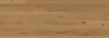 8054427.jpg