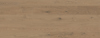 8054453.jpg