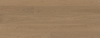 8054752.jpg