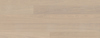8054763.jpg