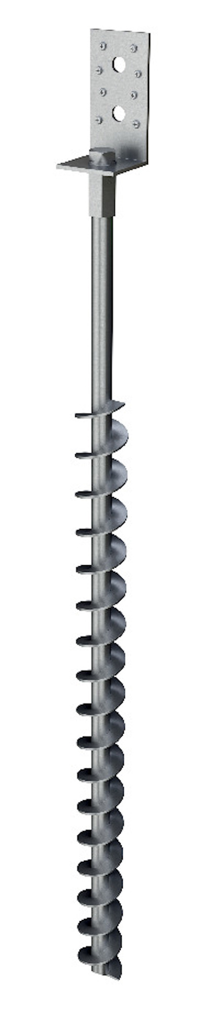 8062553.jpg