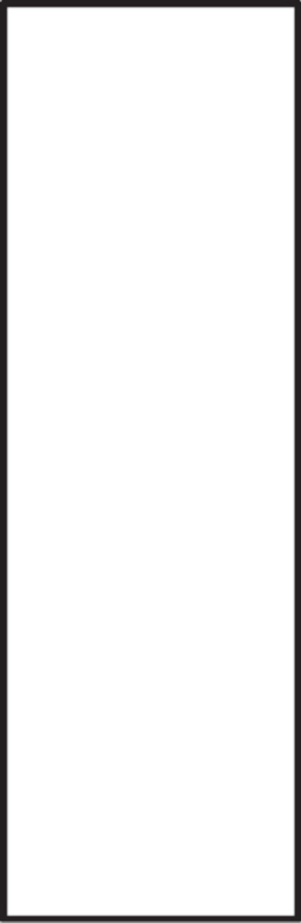 8066316.jpg