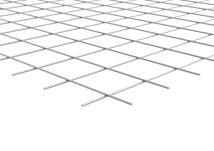 8066425.jpg
