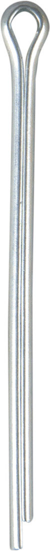 8069933.jpg