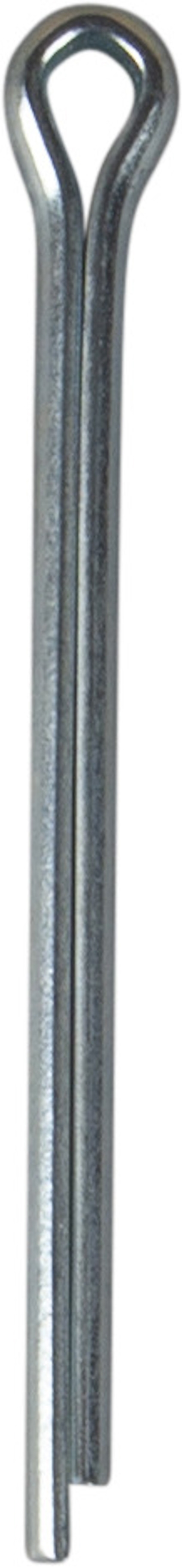 8069977.jpg