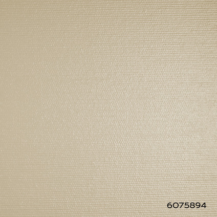 8074468.jpg