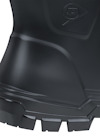 8081916.jpg