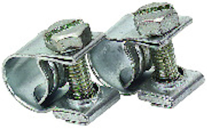 8097822.jpg