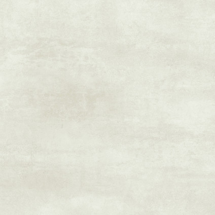 8099050.jpg