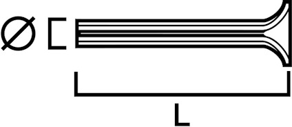 EXPANDERSPIK ELFÖRZINKAD STÅL/TRÄ 6X60MM 100ST