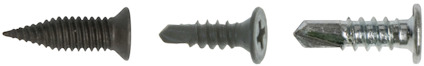 8099922.jpg