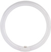 CIRKELLYSRÖR T8 22W 840 VIT OSRAM