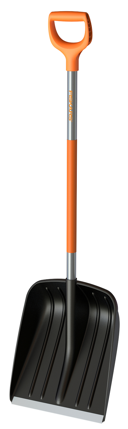 8168575.jpg