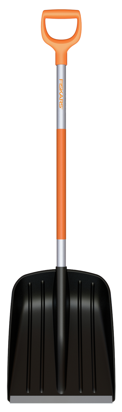 8168576.jpg