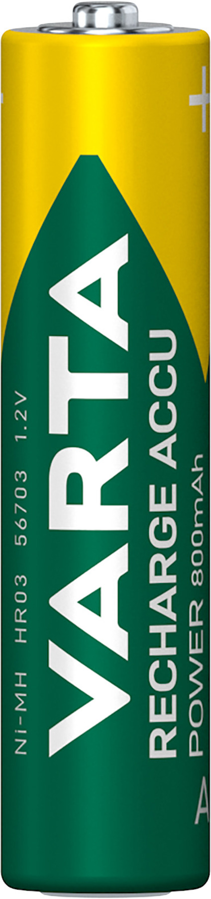 8177842.jpg