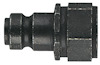 8180938.jpg