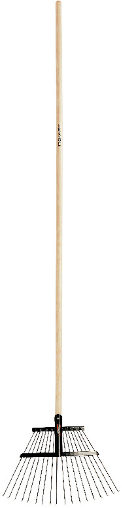 8195203.jpg