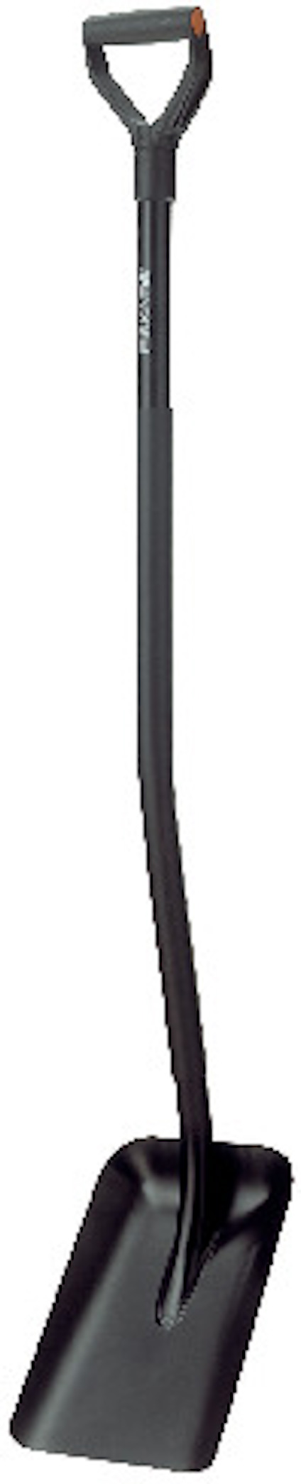 8195254.jpg