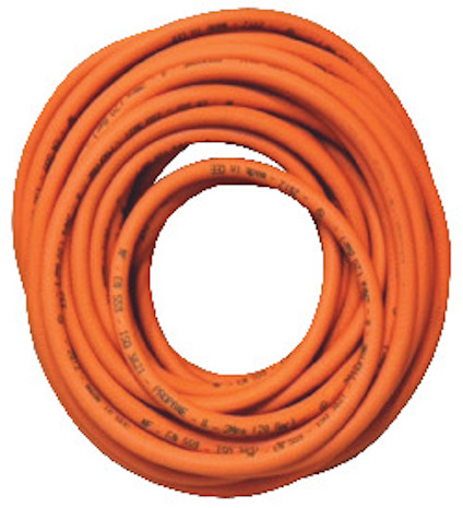8196059.jpg
