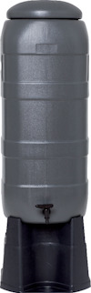 8196204.jpg